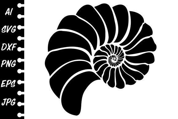 Download Stencil Shell Spiral - Spiral Collection